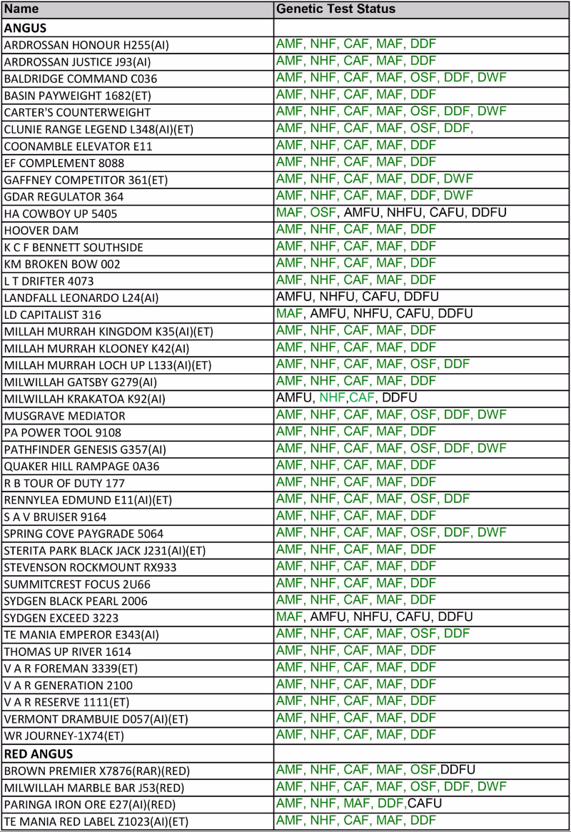 Beef Update ABS Global Australia