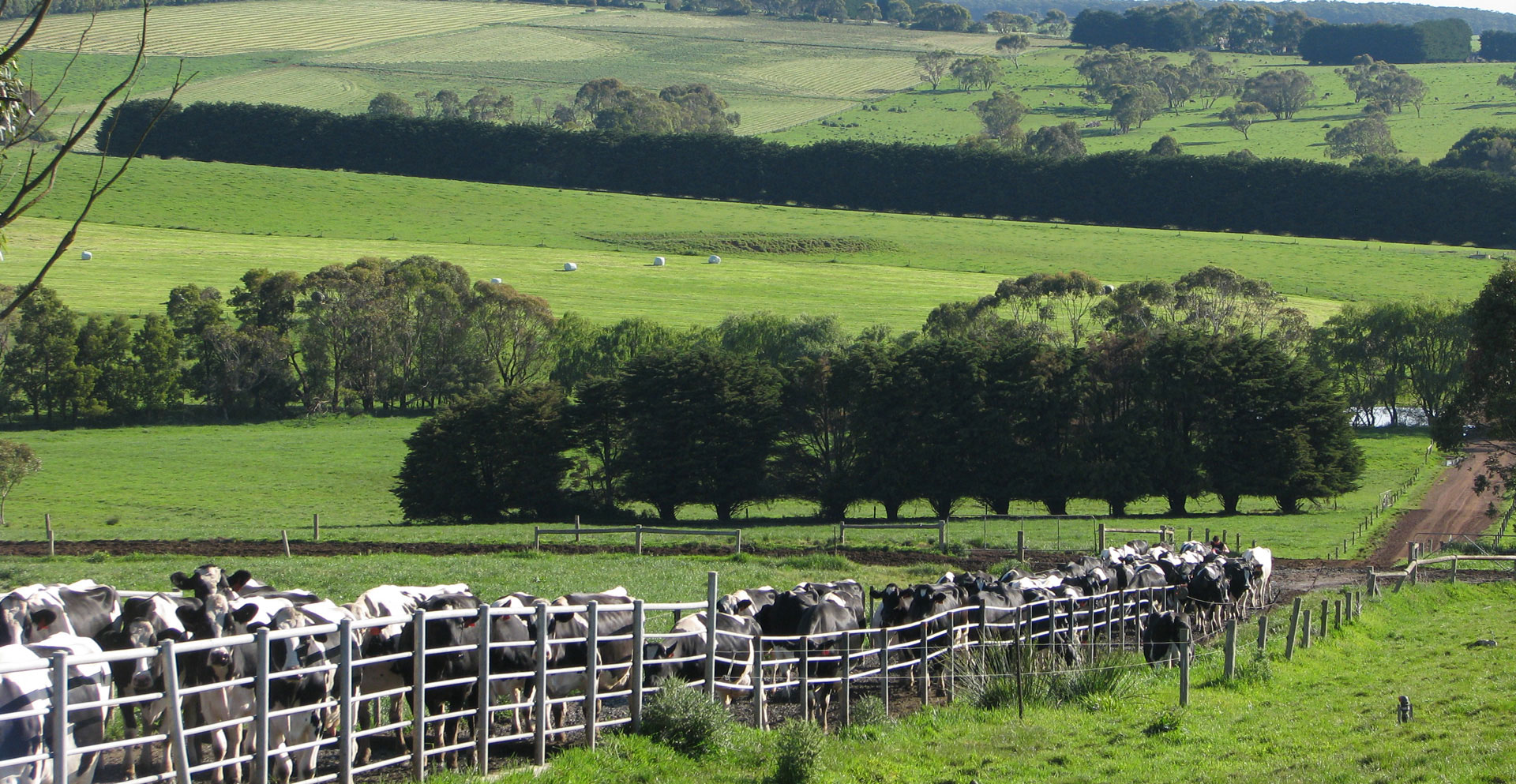 ABS Global ABS Global Australia