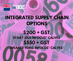 BIF Integrated Supply Chain Options 2009