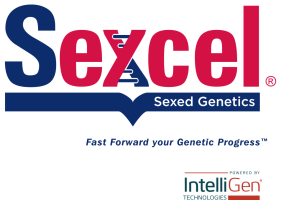 Sexcel-IntelliGen_stacked