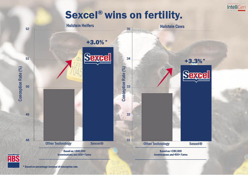 Sexed Semen - ABS Real World Data Final Sexed Semen - ABS Real World Data Final