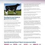 ABS0321 SireDirectory_p7Sexcel