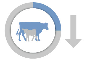 RS10374_beefadvantage_stillbirth_icon