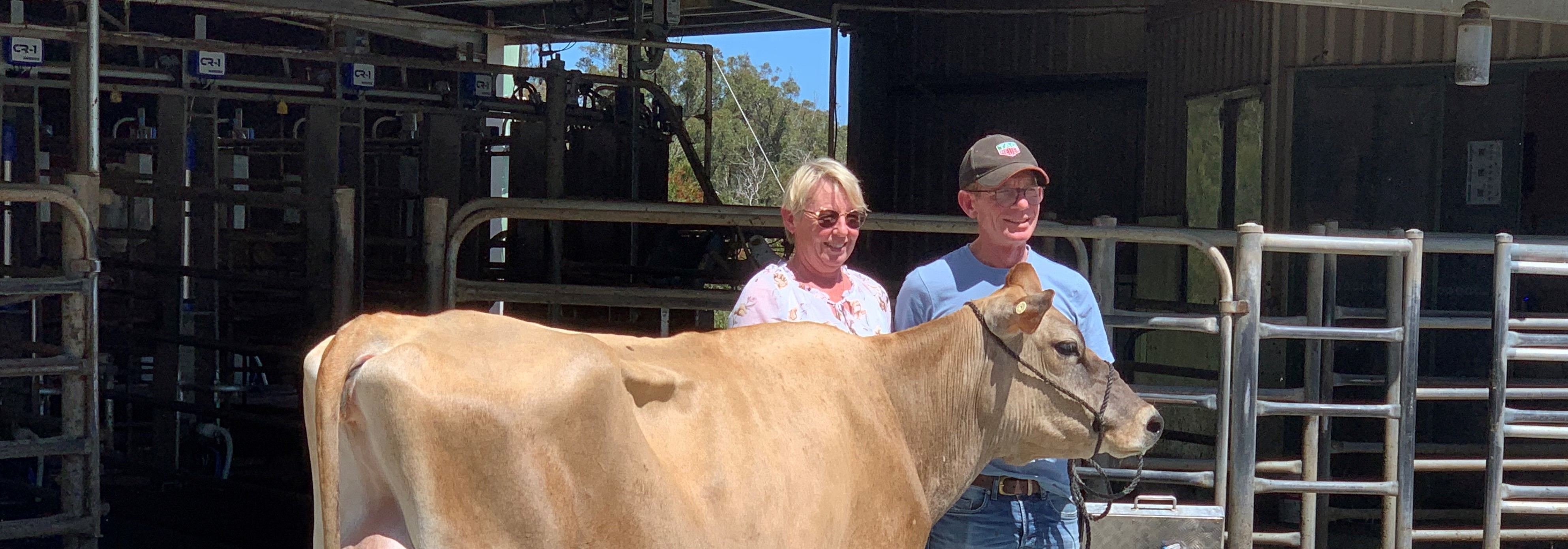 ABS & Dairy News ABS Global Australia