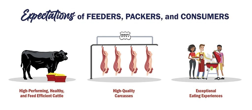 Be Cognizant of the Impact of Beef on Dairy in the Beef Marketplace ...