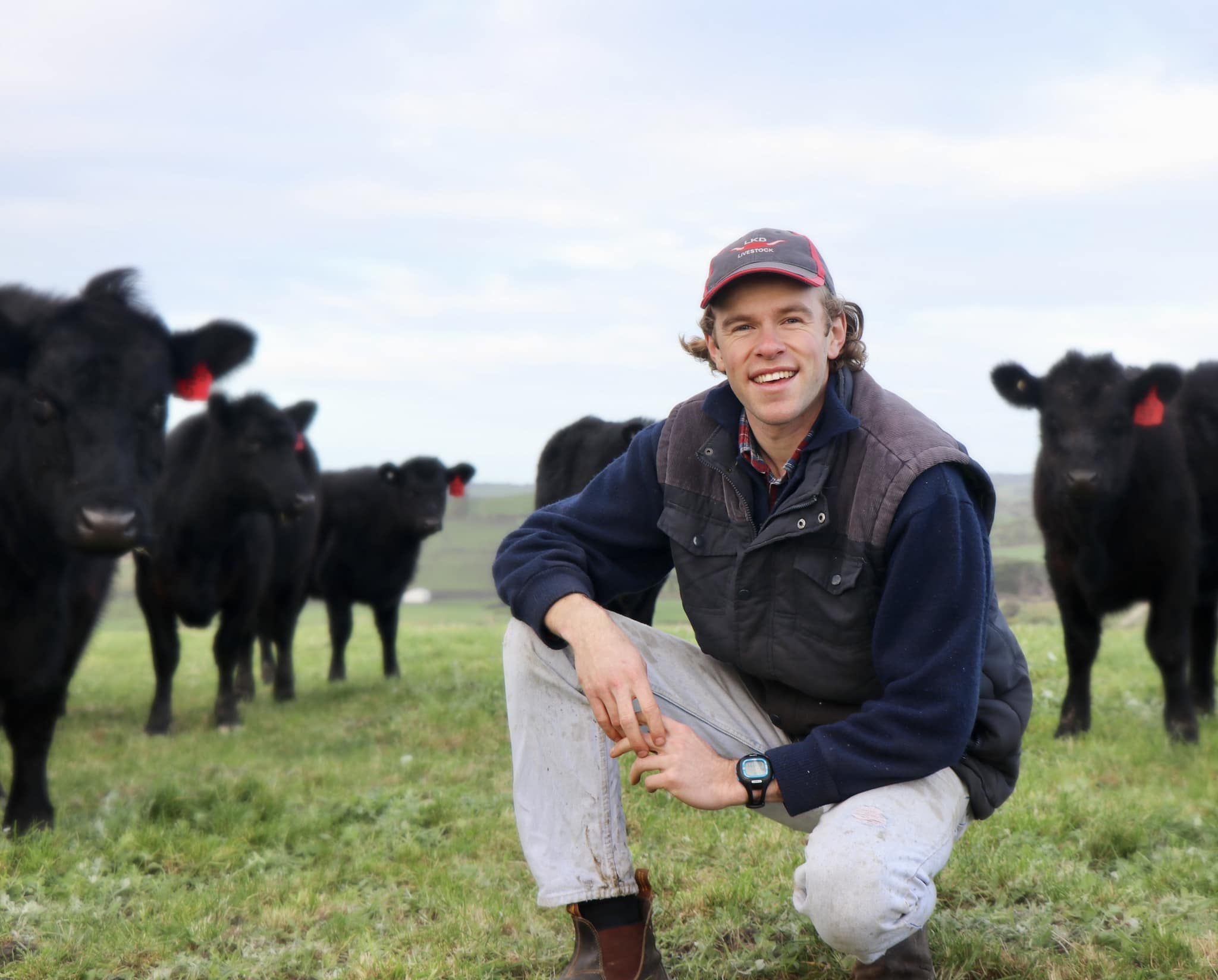 “meat” the market for new ABS Beef Manager ABS Global Australia