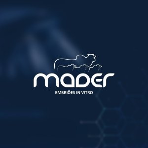 MADER EMBRIÕES IN VITRO