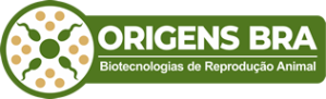 ORIGENS BRA
