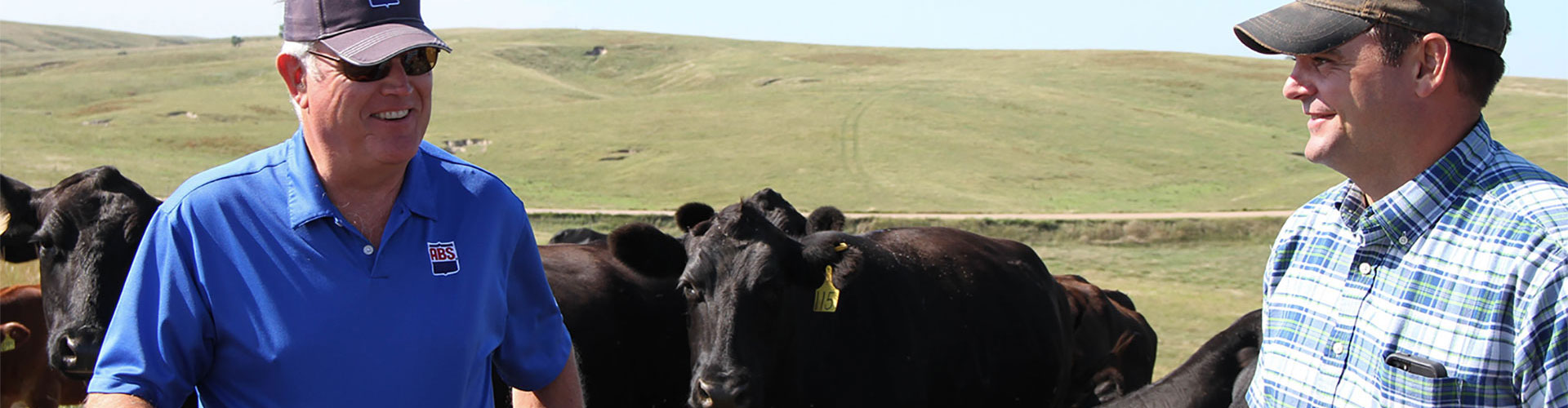 Beef ABS Global Canada (en)