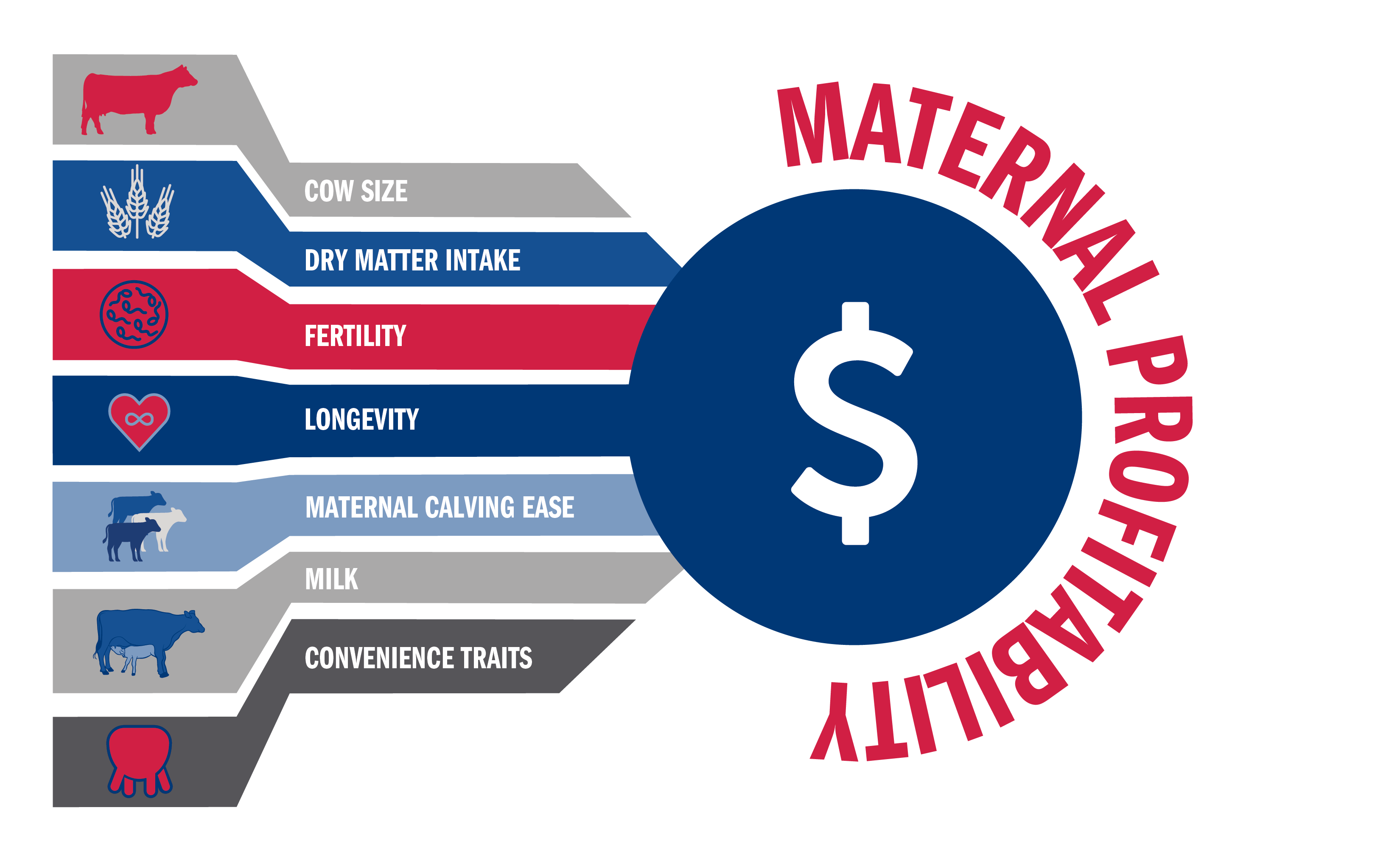 The Industry’s Best Fertility Sexed Semen ABS Global Canada (en)