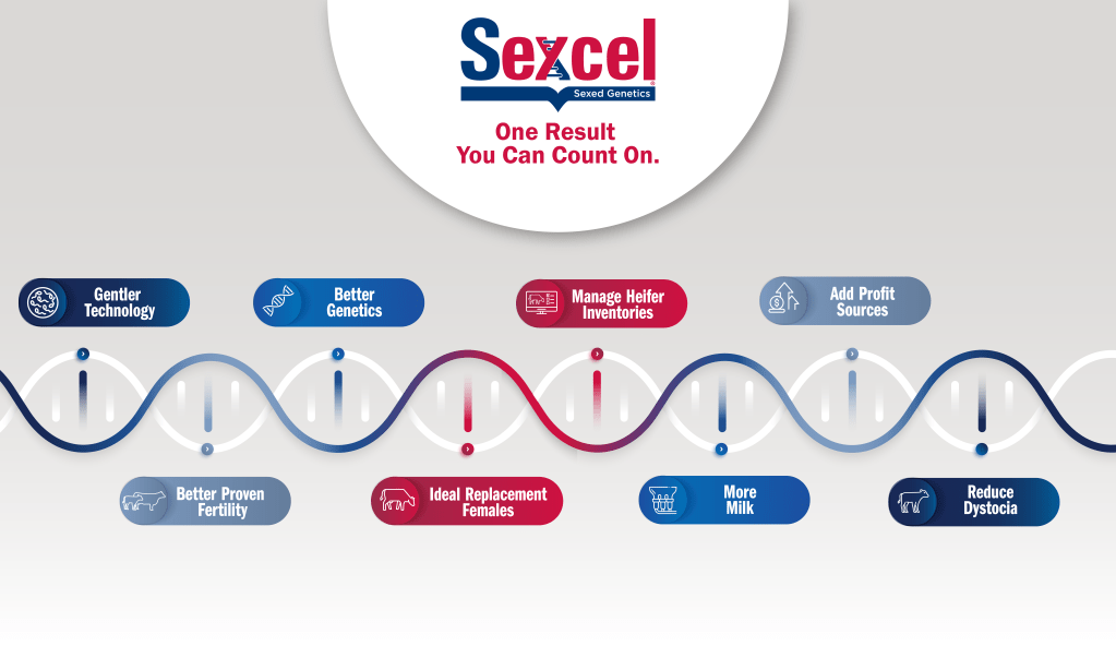 SexcelWhy_Web_DNA-Gradient_1925x1000 SexcelWhy_Web_DNA-Gradient_1925x1000