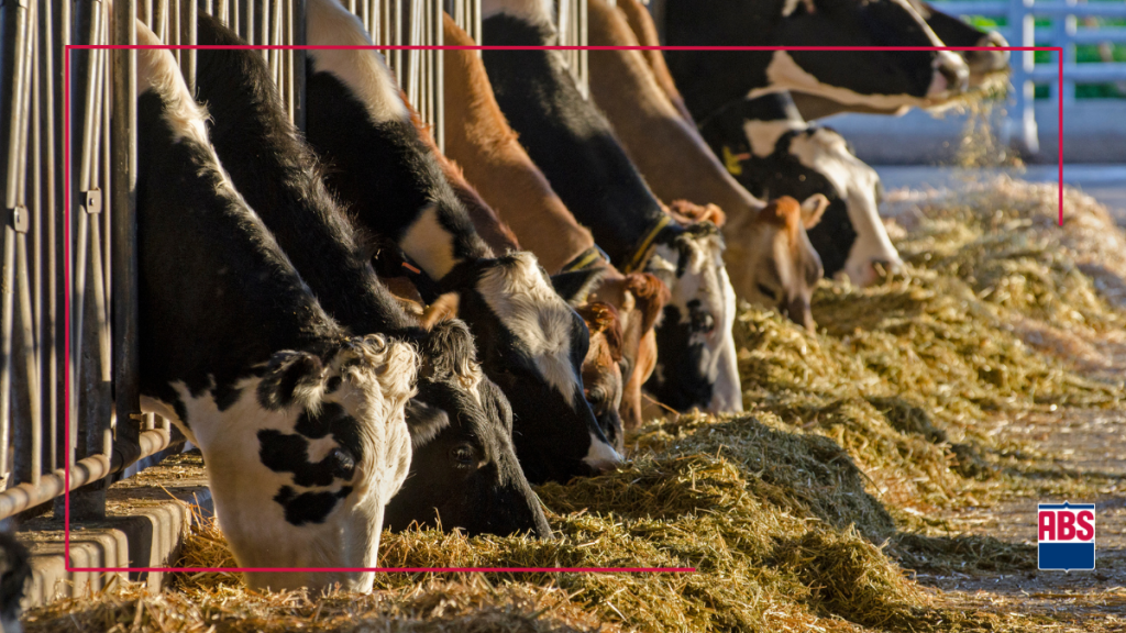 Actualizaciones importantes de las fórmulas DPR, CCR y HCR: lo que los productores lecheros deben saber