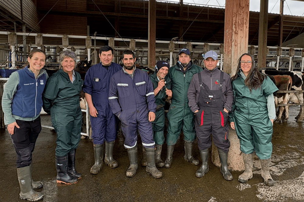 ABS y LIC fortalecen la especialización de técnicos de inseminación artificial en Chile