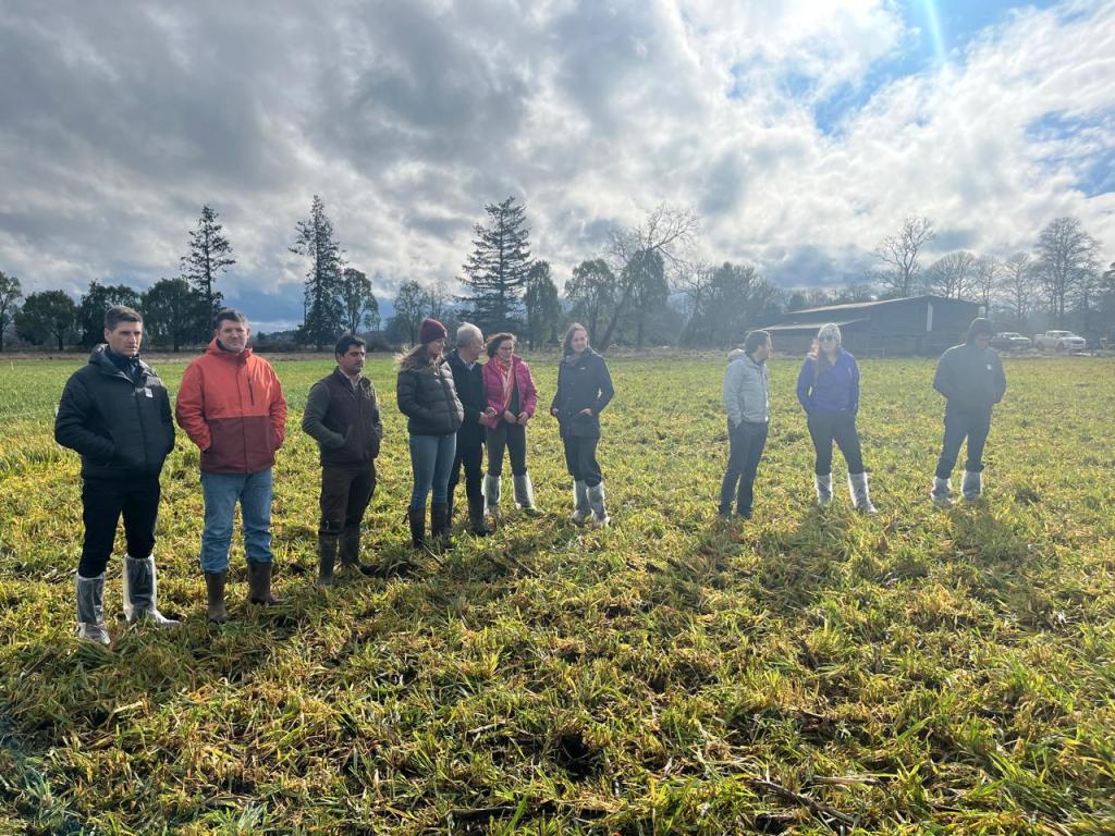 GENEadvance Chile