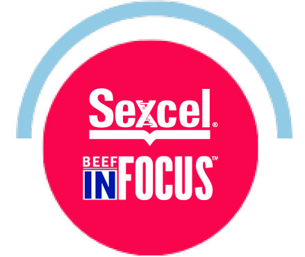 Maximizar la estrategia de Sexcel y Beef InFocus