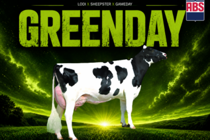 Greenday 29HO22310, nuovo toro ABS Italia dal pedigree Lodi x Sheepster x Gameday