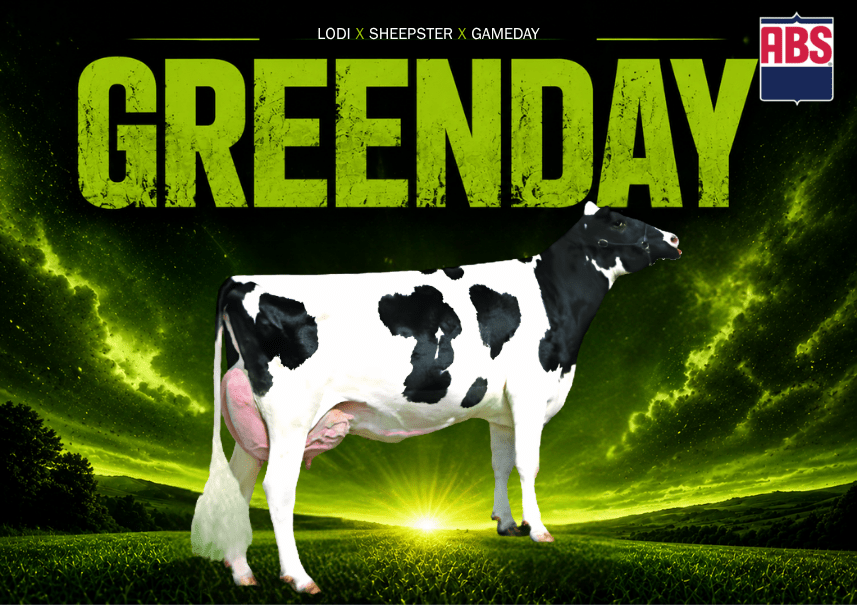 Greenday 29HO22310, nuovo toro ABS Italia dal pedigree Lodi x Sheepster x Gameday