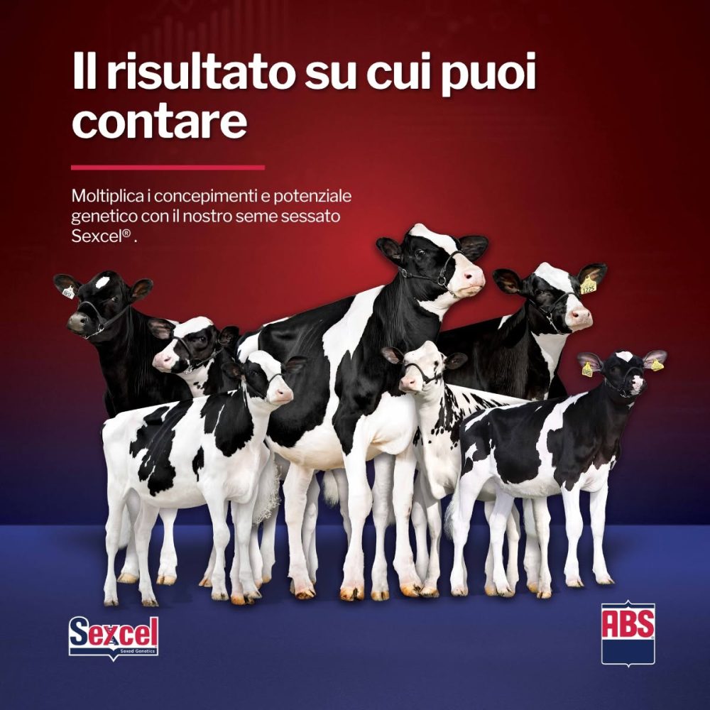 Sexcel ABS ITALIA