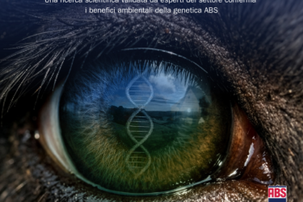 Il programma ABS NuEra Genetics contribuisce a ridurre l'impatto ambientale dei sistemi di produzione Beef-on-Dairy grazie al miglioramento genetico.
