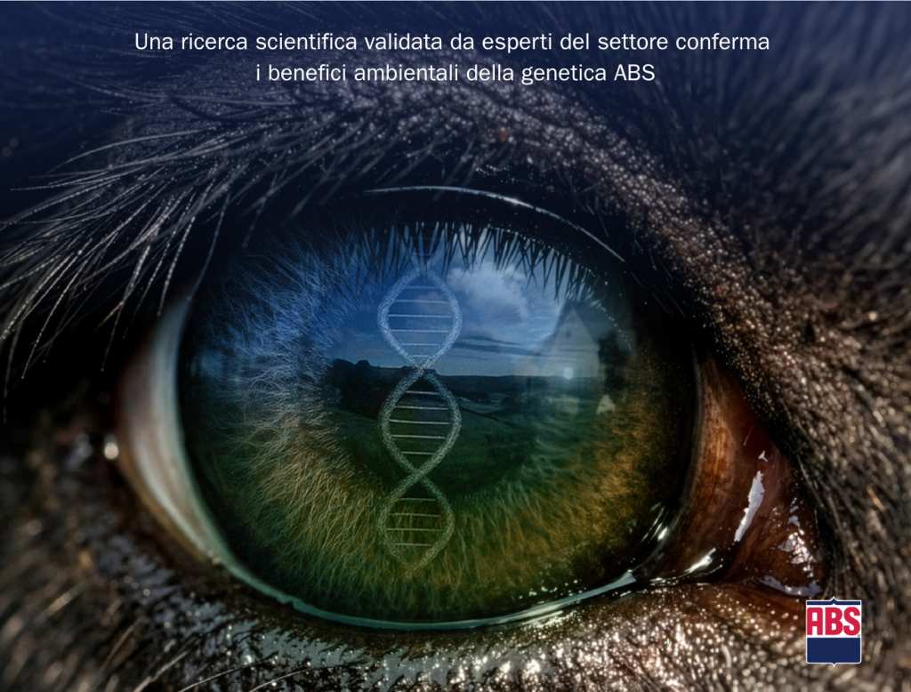 Il programma ABS NuEra Genetics contribuisce a ridurre l'impatto ambientale dei sistemi di produzione Beef-on-Dairy grazie al miglioramento genetico.