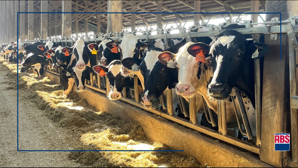 Nuovi indici genetici FSC, DIA, RSP e HCC per la selezione delle bovine da latte