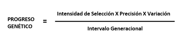 Creando la vaca ideal para su hato Captura de pantalla 2024 07 09 100022