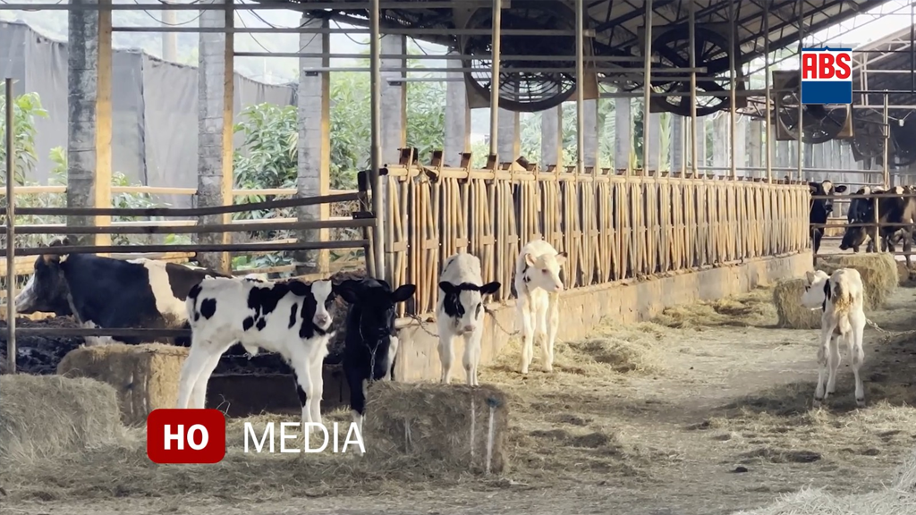 INÉDITO: ¡Nueva tecnología de ABS! Optimiza la producción de embriones Holstein sin uso de hormonas
