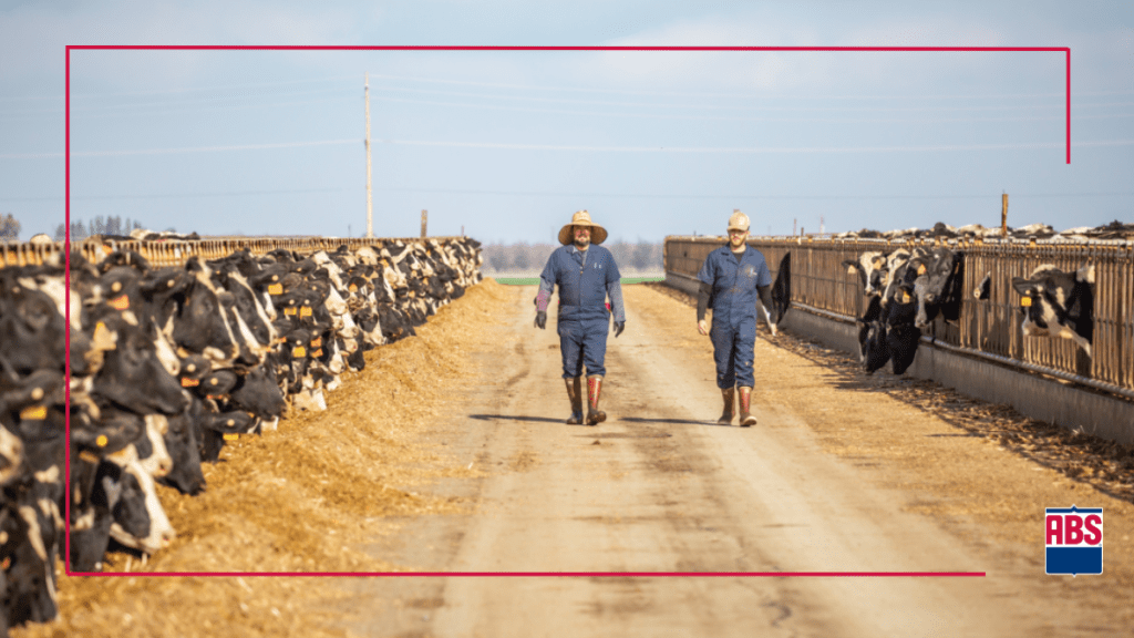 Cómo otros aumentan los ingresos a través del progreso genético