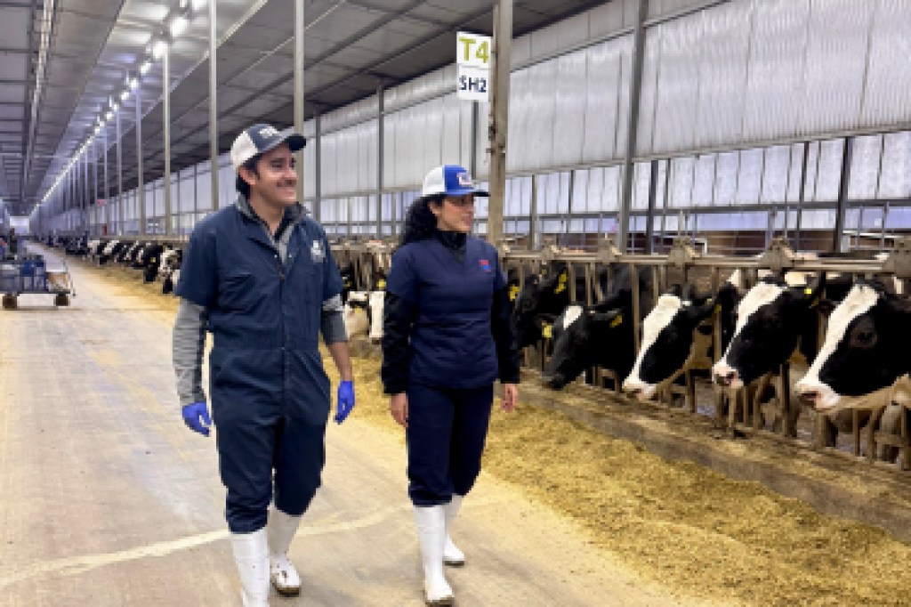 Mes Mundial de la Leche