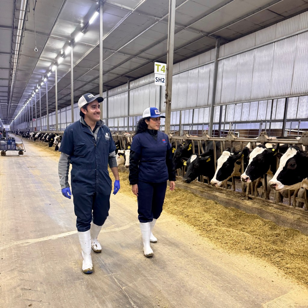 Mes Mundial de la Leche