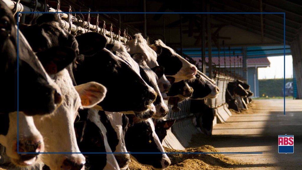 Różnorodność genetyczna