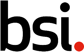 Image result for british standard institute logo