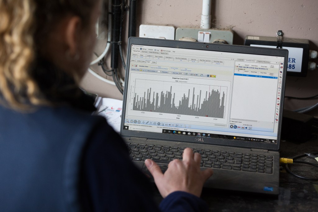 A Genus ABS staff member showing farmer how to interpret data from Ingenuity.