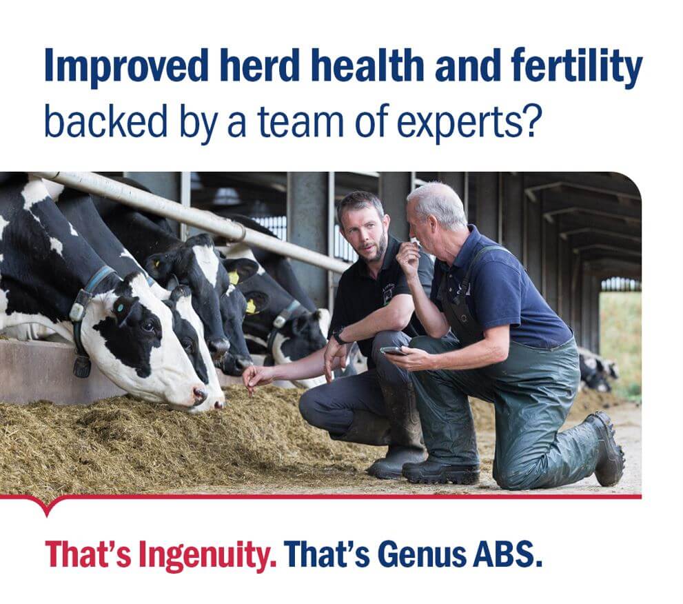 Improved herd health and fertility, backed by a team of experts, with Ingenuity from Genus ABS