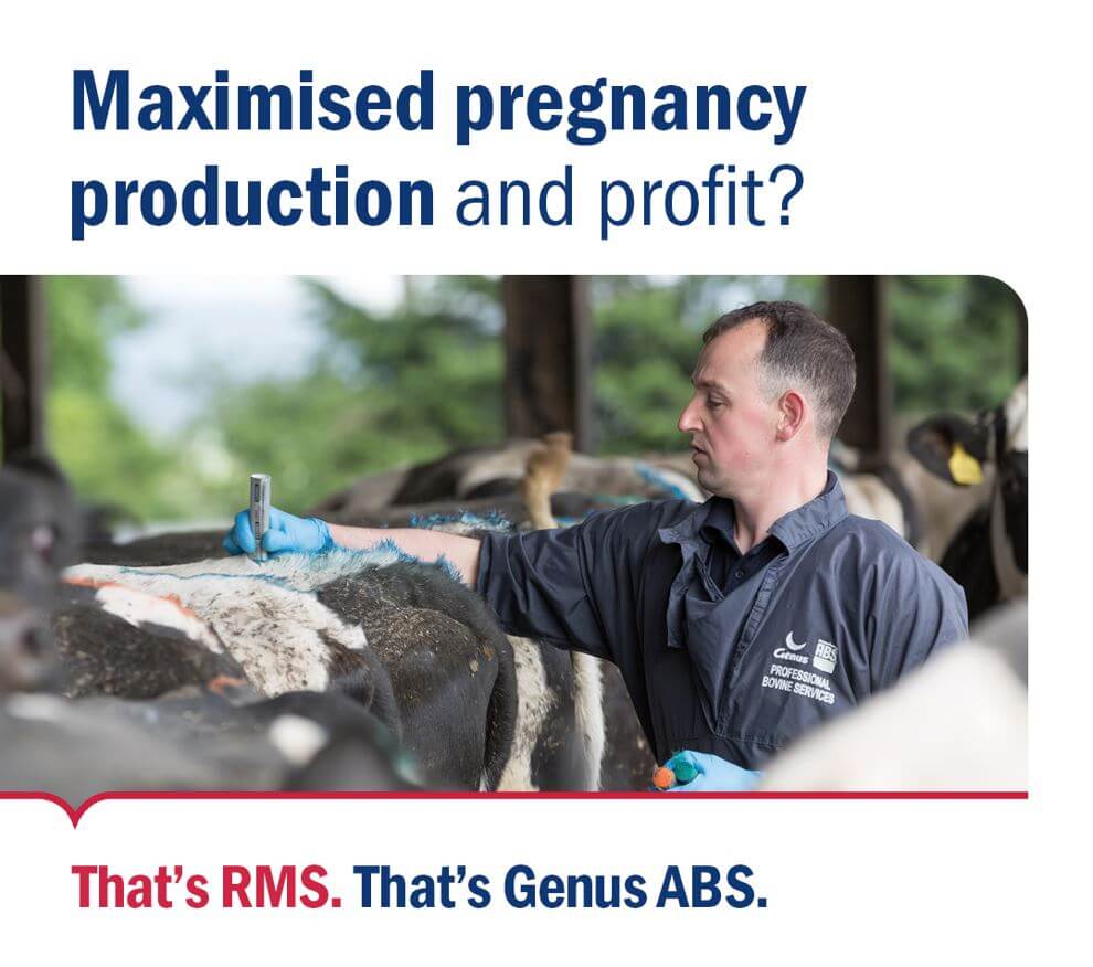 Maximised cow pregnancy and profit with Reproductive Management System from Genus ABS