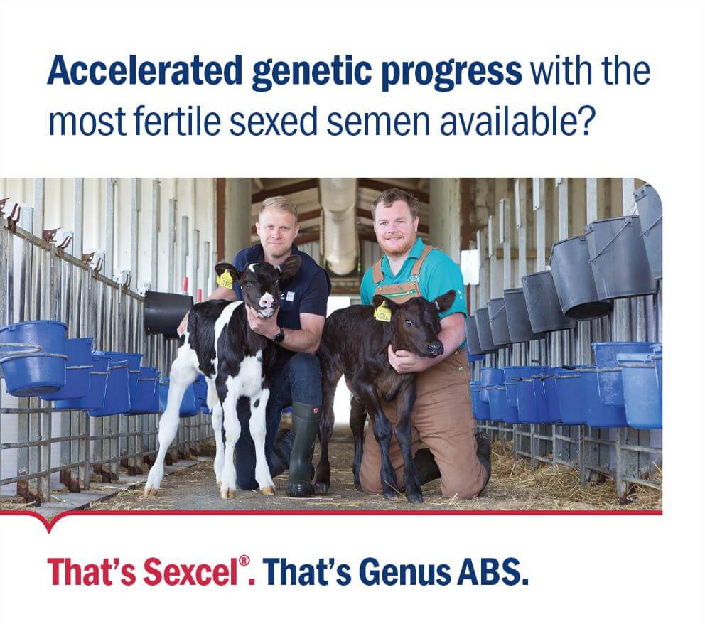 Accelerated genetic progress with Sexcel from Genus ABS