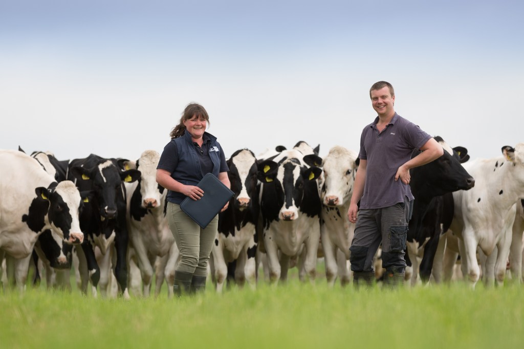 Genomic tested herd with farmer