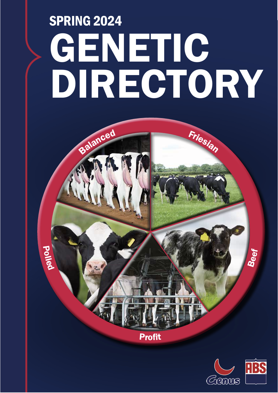 Online Brochures ABS Global UK