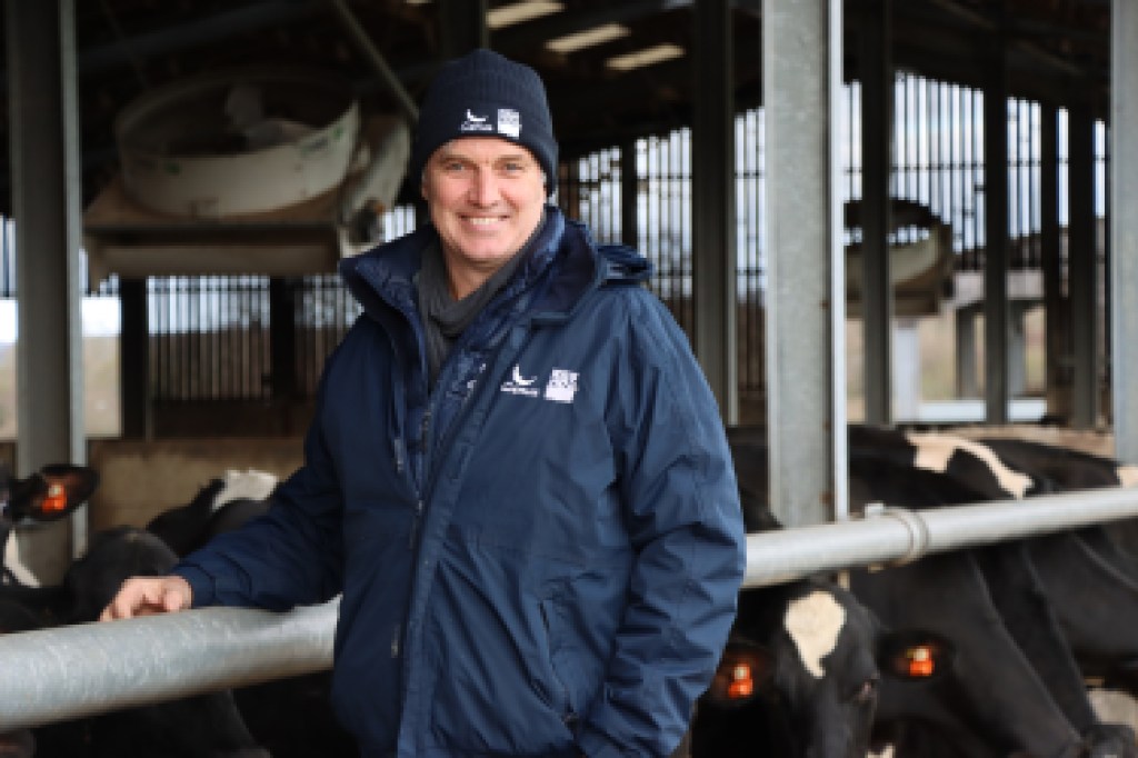 John Torrance standing beside cow shed with curtismill herd