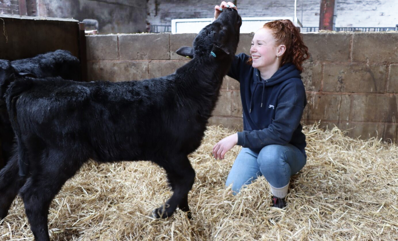 Shropshire farm success with Gamechanger beef - ABS Global UK