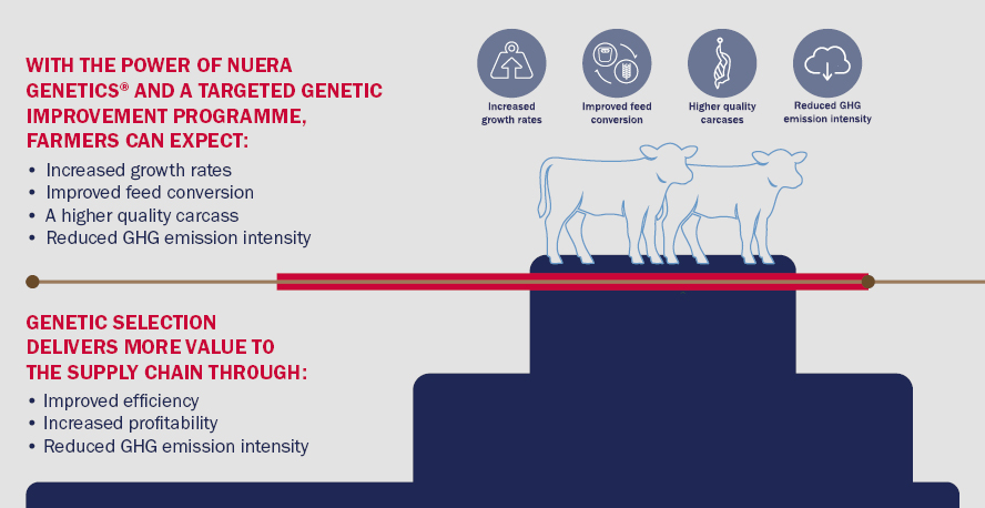 infographic