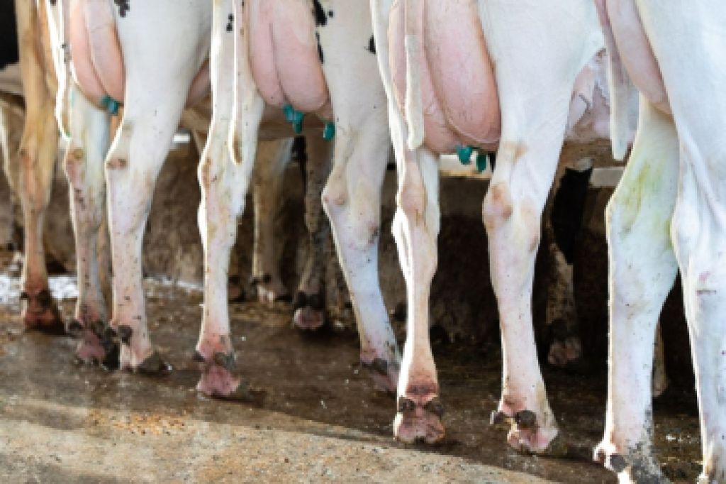 Image of medical devices