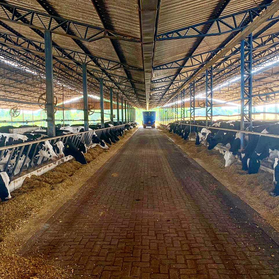 En Brasil, la Fazenda Paraíso garantiza la eficiencia con el uso de