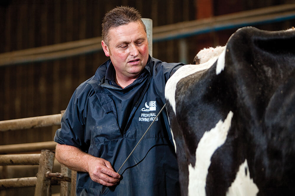 Animal Health and Productivity: They Go Hand and Hand - ABS Global USA Animal Health and Productivity: They Go Hand and Hand - ABS Global USA