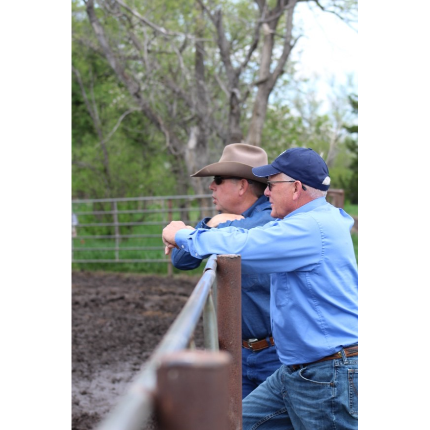 Two cattlemen in blue shirts standing next to cow pen.