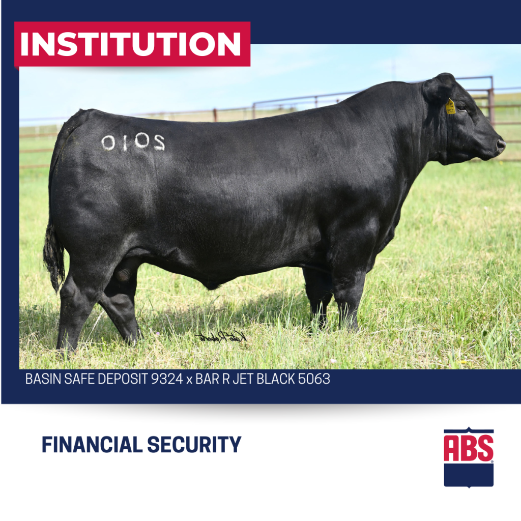 Angus Sire: Instiutution