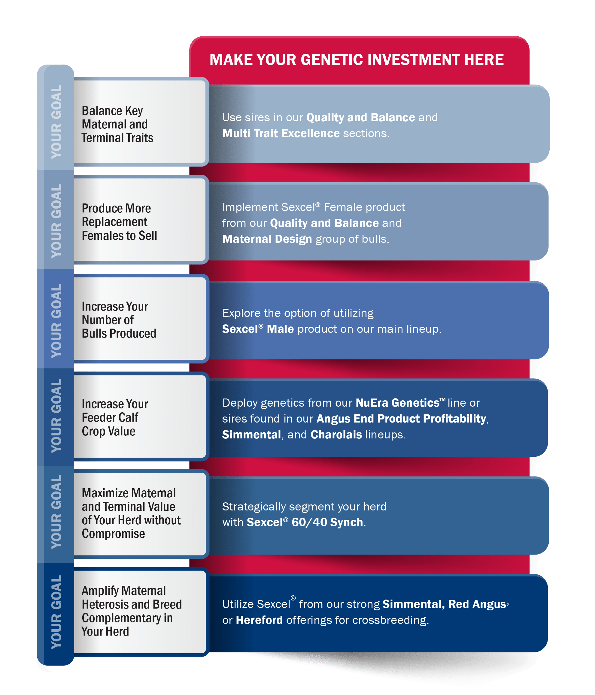 Get the Most Out of Your Investment ABS Global US