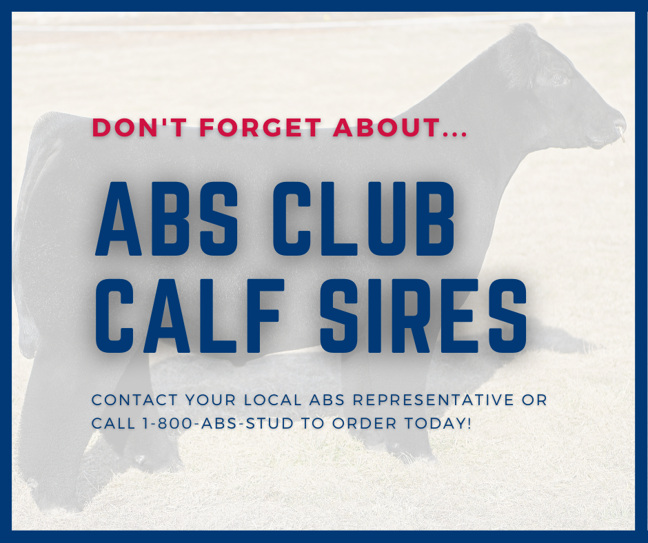 Four Club Calf Sires on Sale Now ABS Global US
