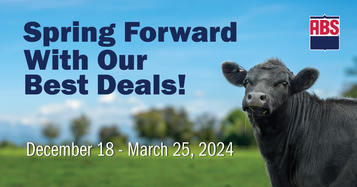 ☆A Grade Beef☆ G-rap Lazy JB Edge 8745 • Cattle Visions • Premier Multi-Breed