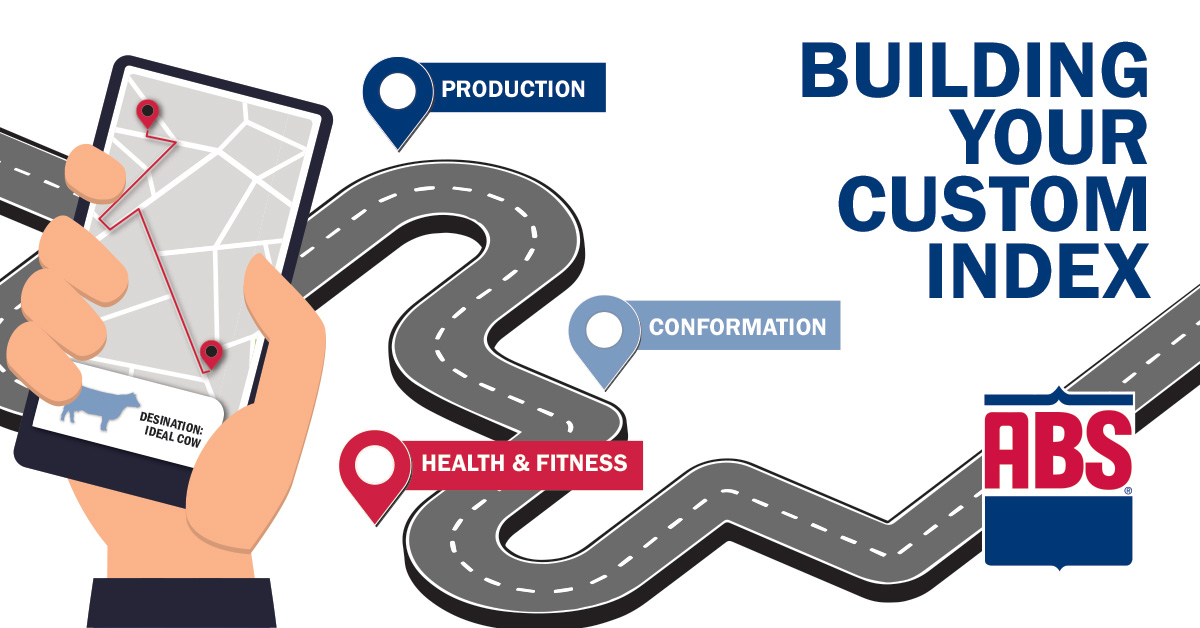 Build Your Own Custom Index with These 5 Steps ABS Global US